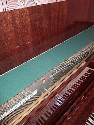 dsx forması: Piano, Belarus, Akustik, İşlənmiş, Ünvandan götürmə — 2