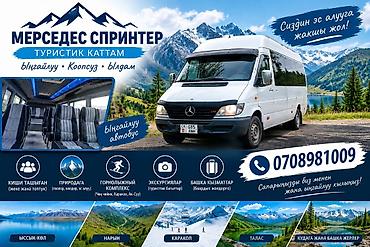 Пассажирские перевозки и туры на Mercedes Sprinter - Туристический