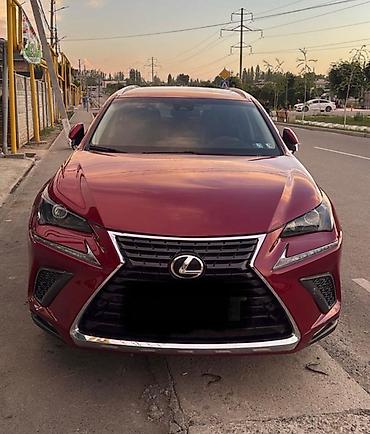 Lexus: Lexus NX: 2017 г., Автомат, Бензин, Кроссовер — 1