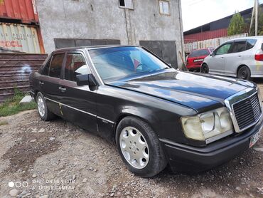 mercedes tursi: Mercedes-Benz 250: 1991 г., 2.5 л, Механика, Дизель, Седан