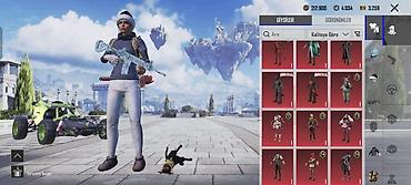 Другое: PUBG Mobile hesabı – zəngin kolleksiya və nadir əşyalar - Oyun içi — 1