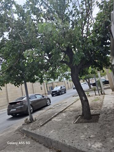 Uzunmüddətli kirayə evlər: 1111 kv. m, 2 otaqlı -da lalafo.az — 14 Uzunmüddətli kirayə evlər: 1111 kv. m, 2 otaqlı — 14