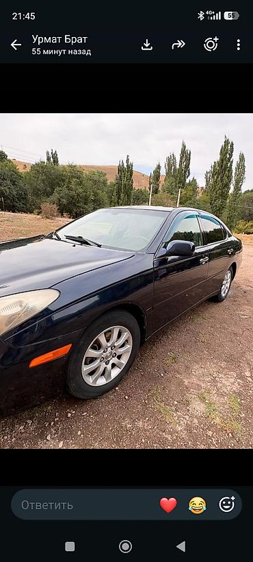 решетка lx470: Lexus ES: 2004 г., 3.3 л, Автомат, Бензин, Седан — 3