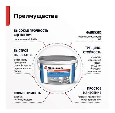max safe: Полимерная гидроизоляция под плитку ТЕХНОНИКОЛЬ MASTER AQUAMAST, ведро — 5