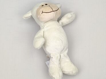 Mascot condition - Perfect