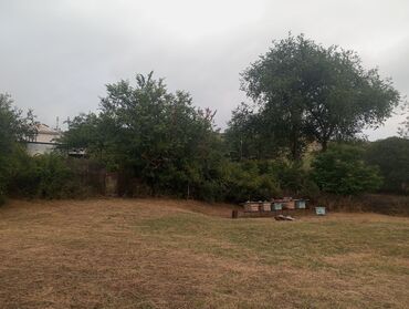 sabunçu evlər: 3 комнаты, 120 м², Средний ремонт