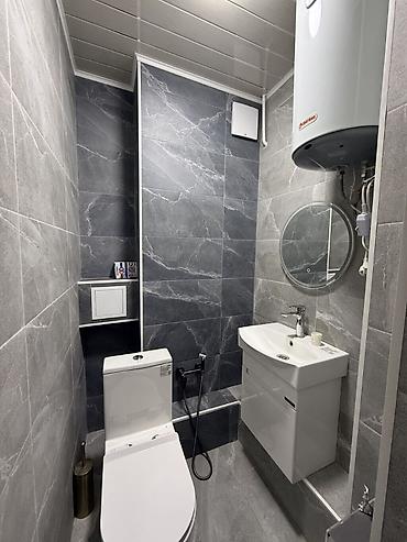 60: 2 комнаты, 60 м², Индивидуалка, 7 этаж, Евроремонт — 4