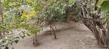 Həyət evləri və villaların satışı: 2 otaqlı, 70 kv. m, Kredit yoxdur, Orta təmir — 5