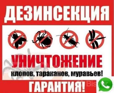 уборка помещения: Дезинфекция, дезинсекция | Клопы, Блохи, Тараканы | Транспорт, Офисы, Квартиры