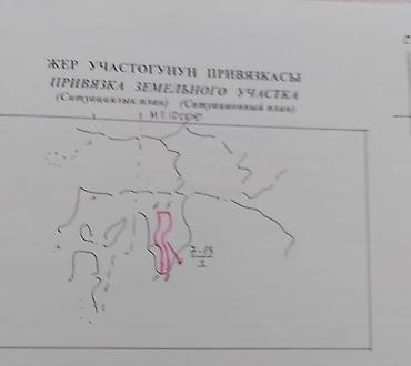 продажа уч ысык кол: 80 соток, Красная книга — 1