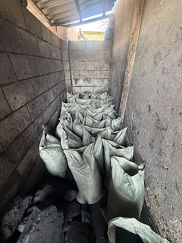 древесный уголь бишкек: Кара кече комуру майдасы — 2