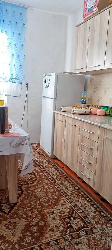 Продажа магазинов: Продаётся дом с действующим магазином.находится в селе вознесеновка,ул — 9