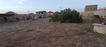 Torpaq sahələrinin satışı: 12 sot, Tikinti, Maklerlər narahat etməsin, Kupça (Çıxarış), Texniki pasport -da lalafo.az — 12 Torpaq sahələrinin satışı: 12 sot, Tikinti, Maklerlər narahat etməsin, Kupça (Çıxarış), Texniki pasport — 12