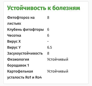 Картошка: Картошка Оптом — 9