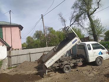 кальций для животных: Отсев Отсев отсев отсев отсев отсев отсев отсев отсев отсев отсев — 3