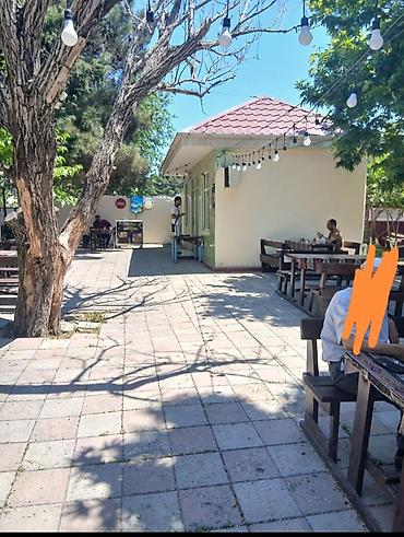 cay evi kiraye: Cənnət Bağı Kafesi – açıq havada rahat məkan. KAFEDE bütün kamunal — 4