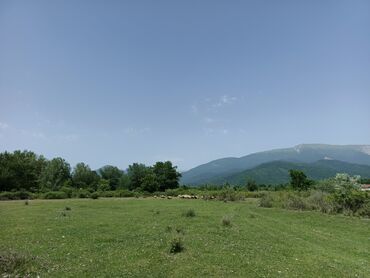Torpaq sahələrinin satışı: 12 sot, Tikinti, Mülkiyyətçi, Kupça (Çıxarış) — 8