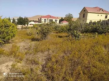 ivanovka ev: 24 sot, Tikinti, Kupça (Çıxarış) — 1