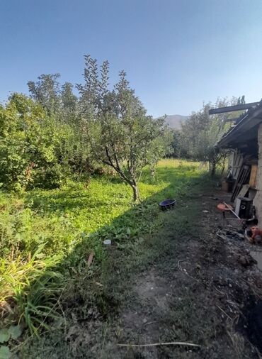 Продажа домов: Дом, 50 м², 3 комнаты, Агентство недвижимости, Косметический ремонт — 12