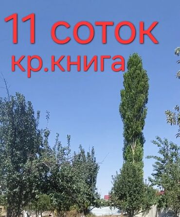 участок вдоль реки: 11 соток, Бизнес үчүн, Кызыл китеп, Сатып алуу-сатуу келишими