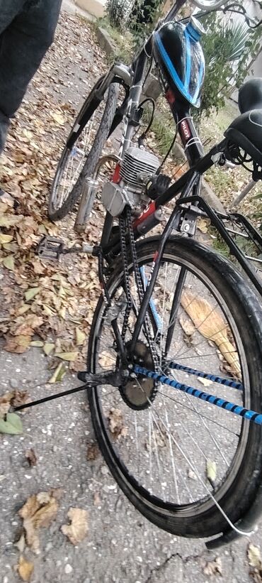 Mopedlər,skuterlər: Benzin mühərrikli velosiped - Çərçivə: PILOT markalı şosse/şəhər — 11