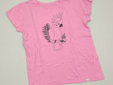 koszulki 104 dziewczynka: Koszulka, Cool Club, 15 lat, 164-170 cm, stan - Bardzo dobry
