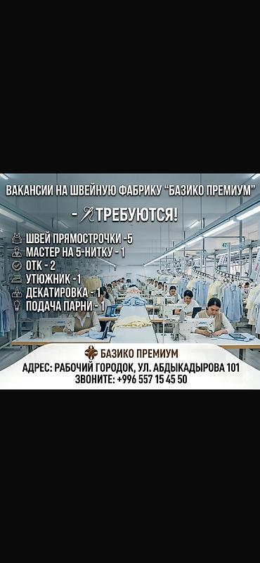 Гладильщик, Район: Рабочий Городок, Оплата: Сдельная, График работы: Шестидневка, Опыт работы: 1-2 года опыта