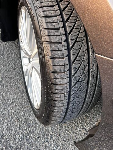 Toyota: Toyota Camry: 2019 г., 2.5 л, Автомат, Бензин, Седан — 29