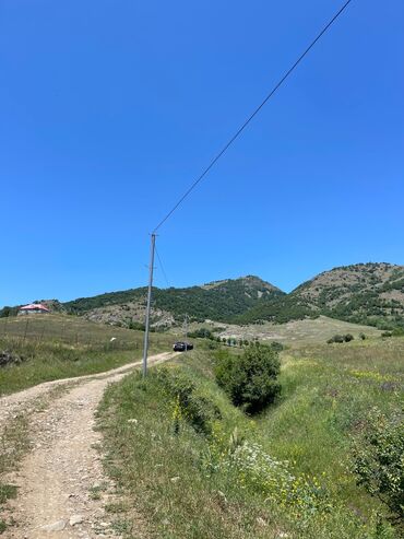 Çaydanlar: 73 sot, Biznes üçün, Kupça (Çıxarış)