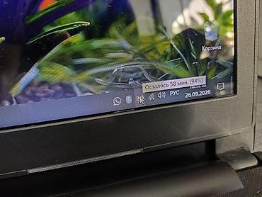 Ноутбуки Dell: Б/у, Intel Core i3 — 14