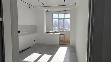 Продажа квартир: 1 комната, 47 м², Пишпек Элитка, 5 этаж, Евроремонт — 4