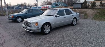 каракол мерс: Mercedes-Benz W124: 1993 г., 4.2 л, Автомат, Бензин