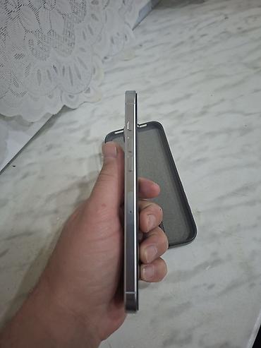 iphone case: IPhone 16 Pro Max, 256 GB, Gümüşü, Face ID — 4
