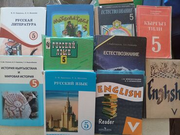 книга english plus: Учебники 5 класс для школ с русским языком обучения: литература