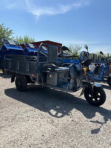 Мотороллеры муравей: Мотороллер муравей Электро, 60 км, 1000 - 1499 кг, Новый — 2