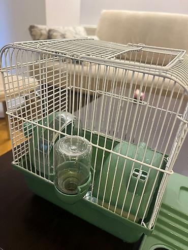 qefes satisi: Hamster ucun qefes satilir, elave oyuncaqlar da var. Icini deyismek — 2