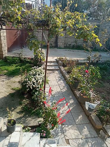 gence tap az: 3 otaqlı, 150 kv. m, Kredit yoxdur, Orta təmir — 7