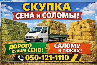 тюки вливер: Скупка сена и соломы - Закупаем сено - Принимаем солому в тюках. - — 1
