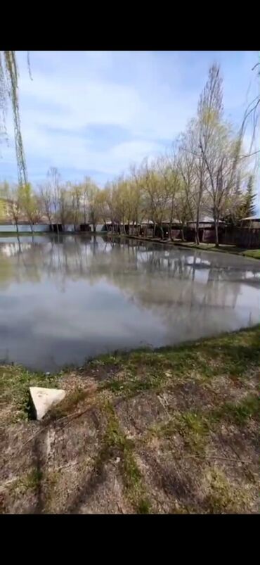 Сковородки: 140 соток, Для бизнеса, Собственник, Купчая