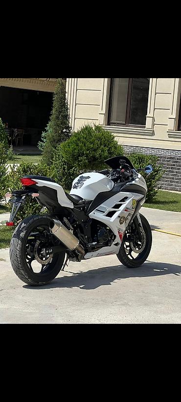 kawasaki ninja 250: Спортивный мотоцикл в белом цвете с полным обтекателем. Основные — 1