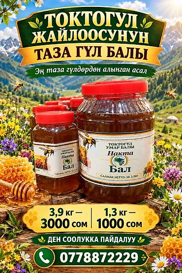 Натуральный цветочный мёд из высокогорных пастбищ Токтогула at lalafo.kg Натуральный цветочный мёд из высокогорных пастбищ Токтогула