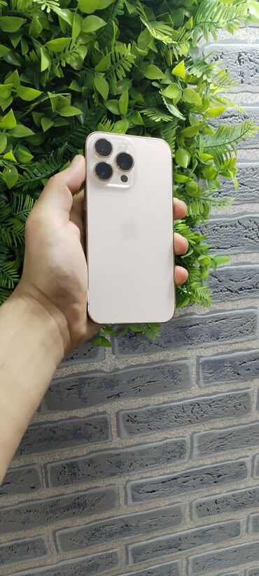 Apple iPhone: IPhone 13 Pro, 128 GB, Qızılı, Kredit, Face ID
