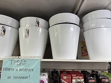 plants: Белые пластиковые кашпо и горшки для комнатных растений - — 3