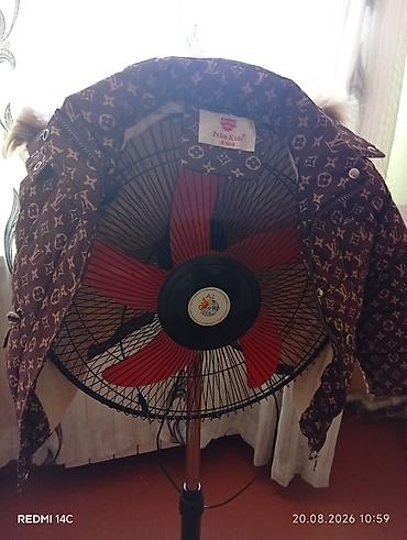 Uşaq dünyası: Uşaq qış gödəkçəsi – Pelin Kids (etiketdə göstərilib) - Model: qalın — 2