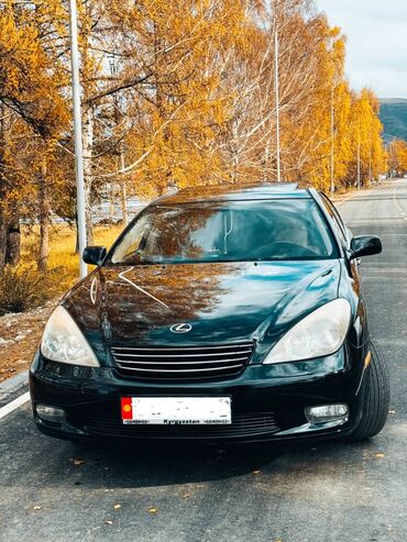 машина ist: Lexus ES: 2003 г., 3 л, Автомат, Бензин, Седан