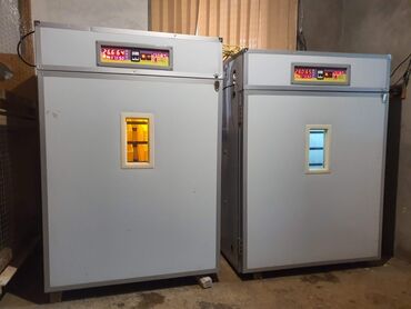 капсульная кофемашина баку: Tam avtomat