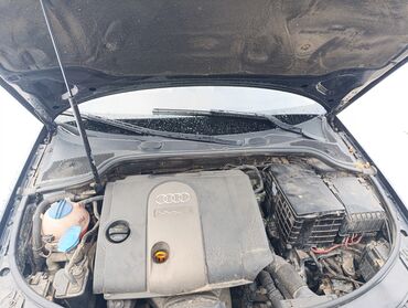 Audi: Audi A3: 1.6 l | 2006 г. Hečbek — 15