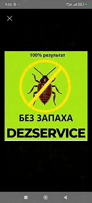 окуя тошок: Дезинфекциялоо, дезинсекциялоо, | Таракандар, Вирустар, микробдор, Кумурскалар, | Жертөлө, ороо, Офистер, Унаа — 1