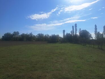 Torpaq sahələrinin satışı: Kənd təsərrüfatı — 6