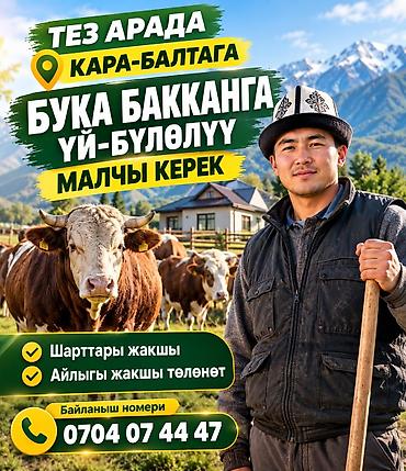 agri hr кыргызстан: Требуется Скотник, Оплата: Сдельная — 1